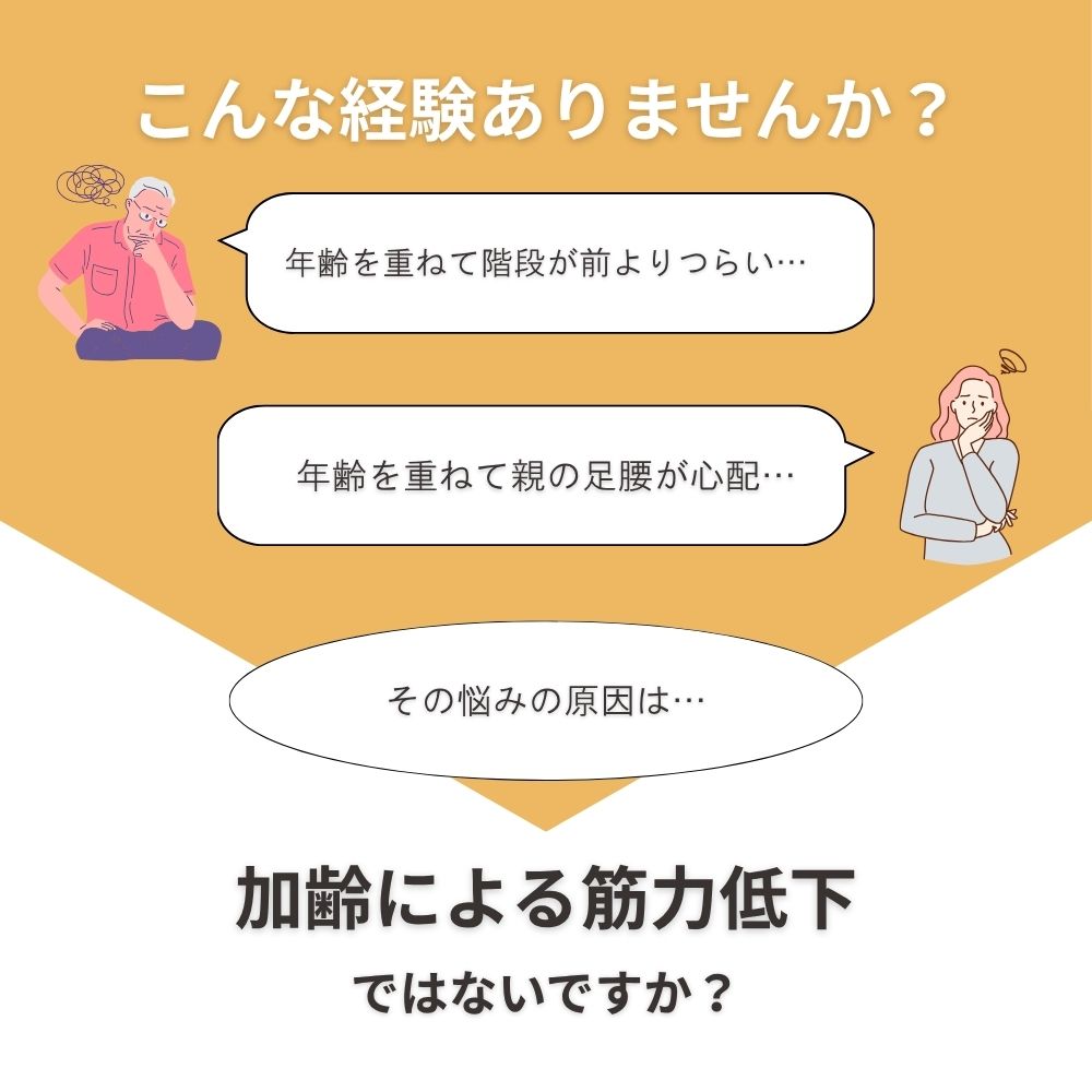 ホームステップトレーナー