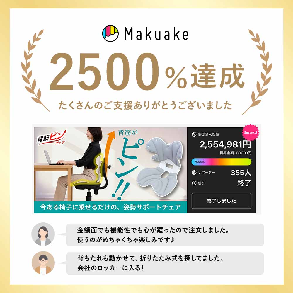 【公式】 背筋ピンチェア