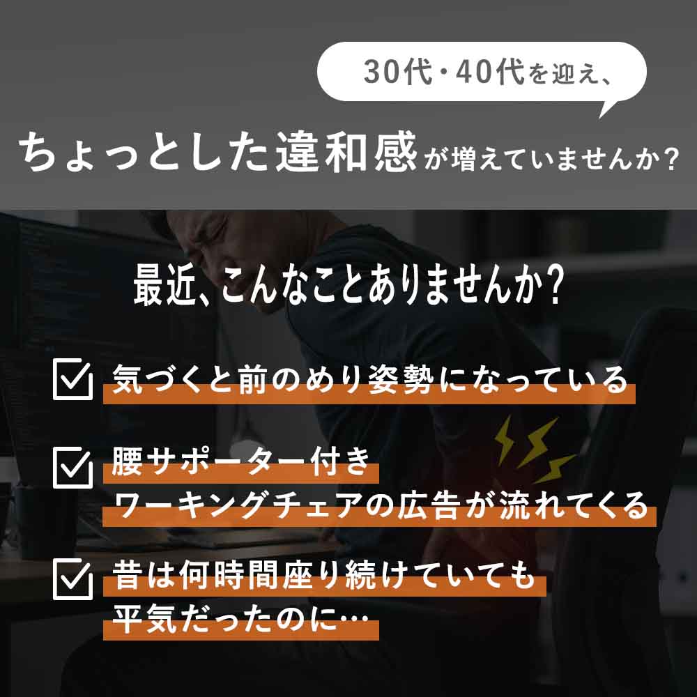 【公式】 背筋ピンチェア