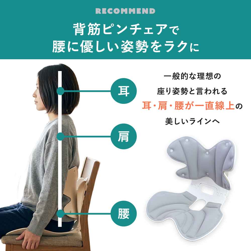 【公式】 背筋ピンチェア