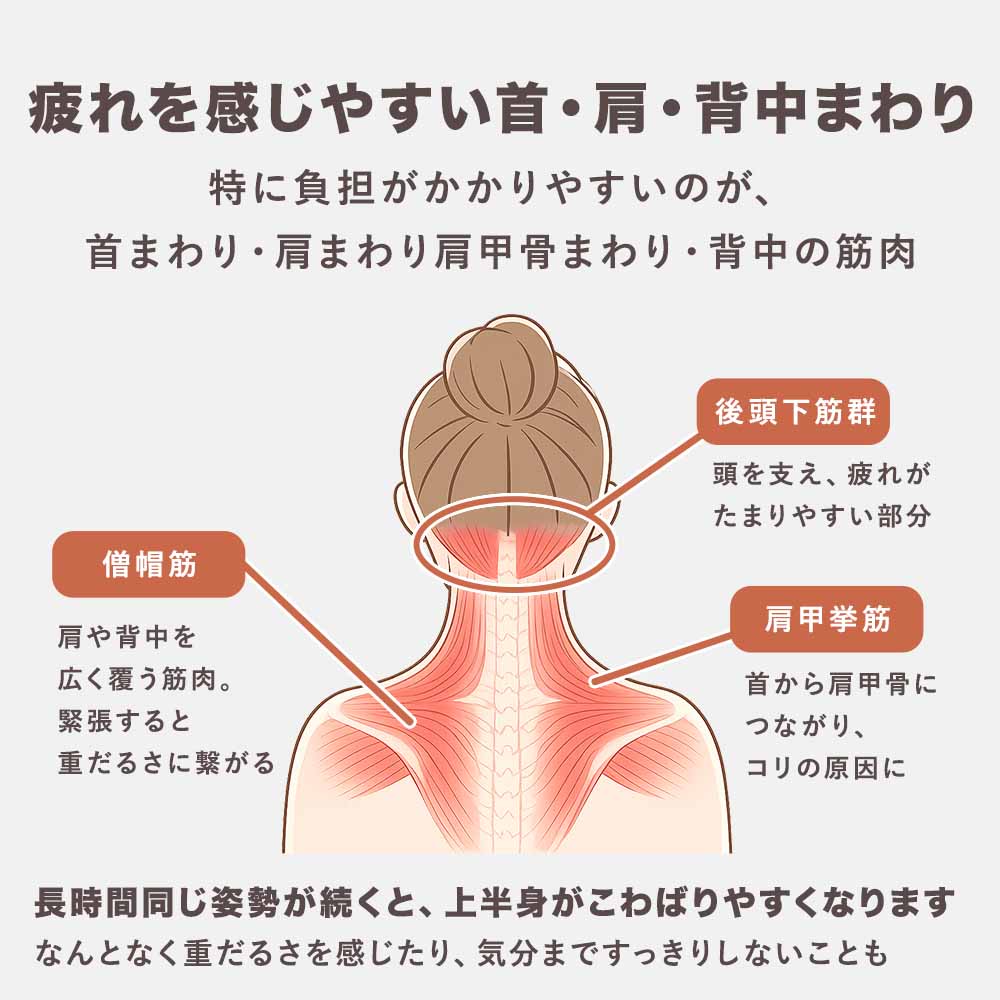 ホットマッサージシート