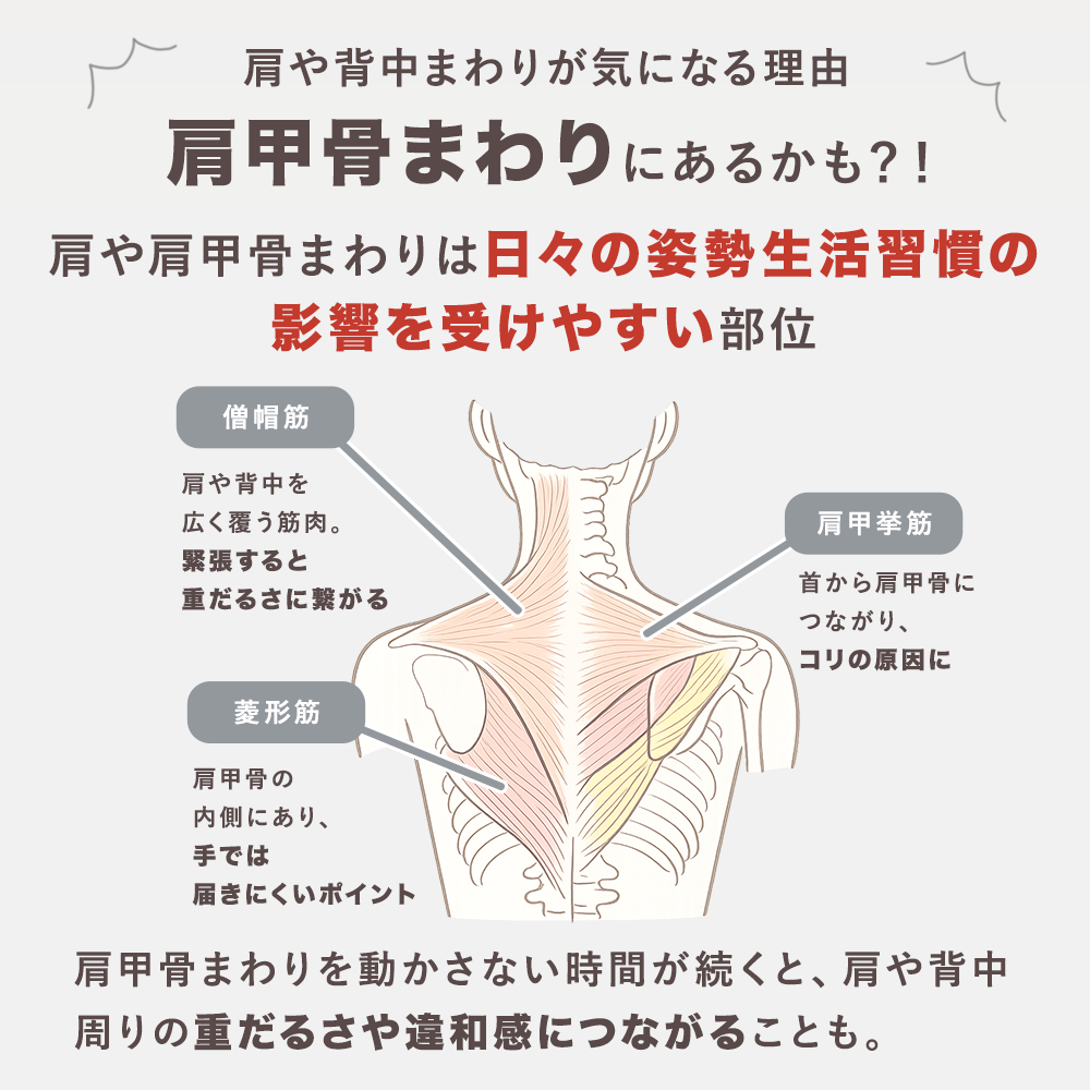 リセットローラーSHOULDER（ショルダー）