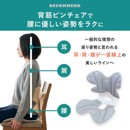【公式】 背筋ピンチェア