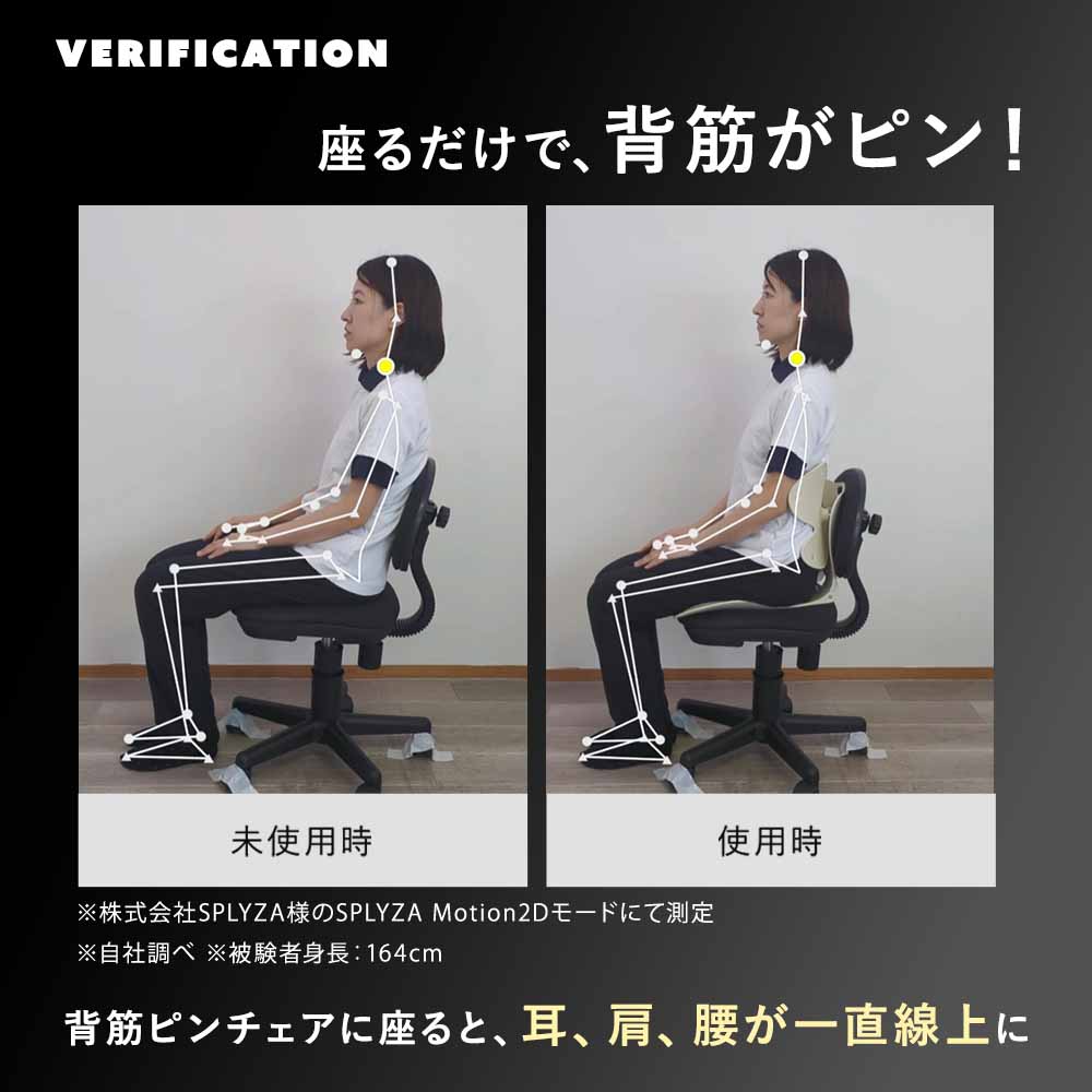 【公式】 背筋ピンチェア