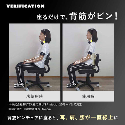 【公式】 背筋ピンチェア