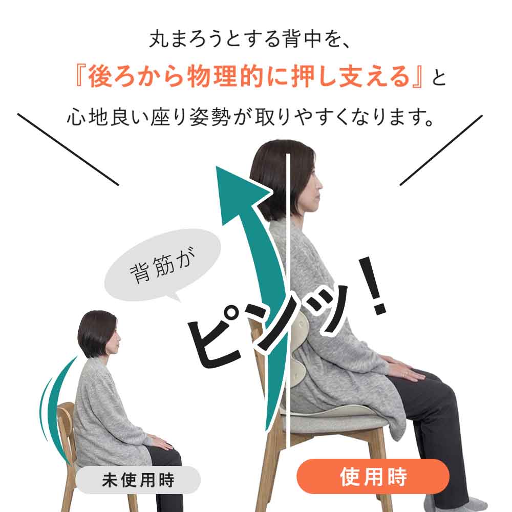 【公式】 背筋ピンチェア