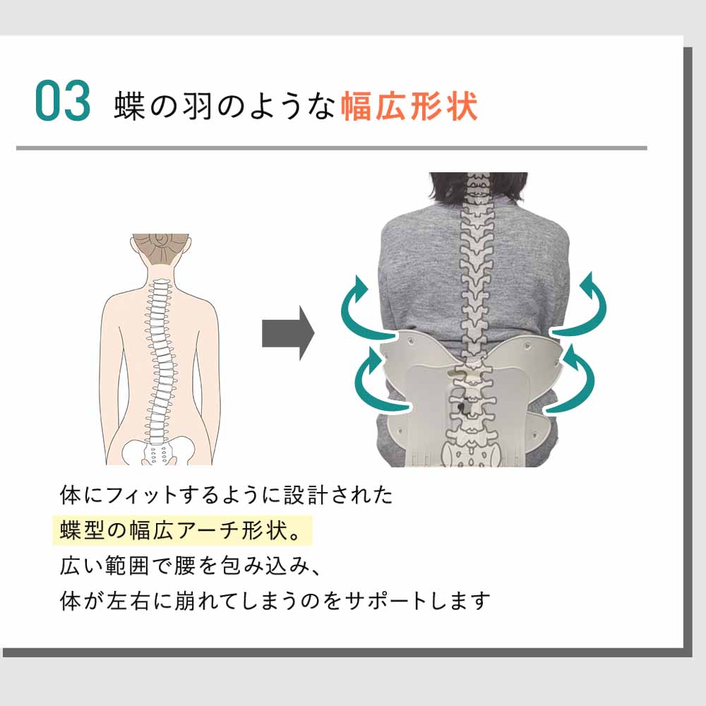 【公式】 背筋ピンチェア