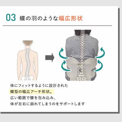 【公式】 背筋ピンチェア