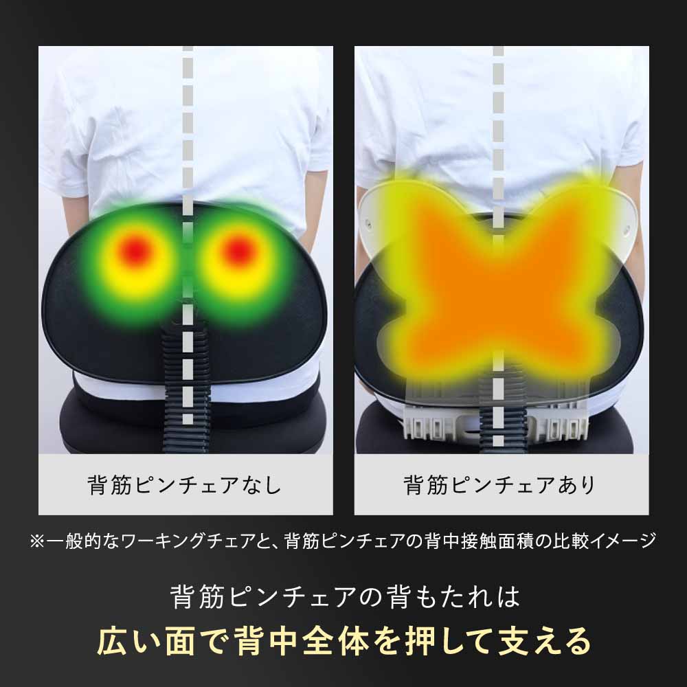 【公式】 背筋ピンチェア