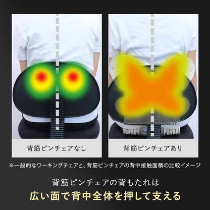 【公式】 背筋ピンチェア