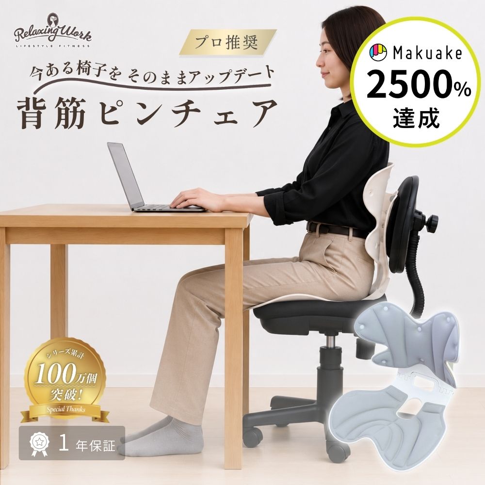 【公式】 背筋ピンチェア