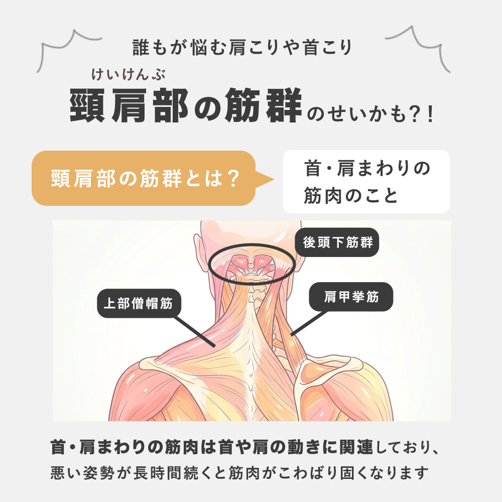 ホットマッサージクッション